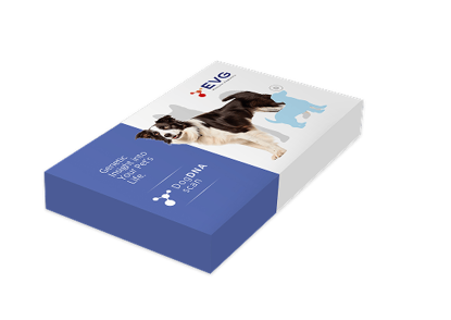 Slika Dog DNA Scan