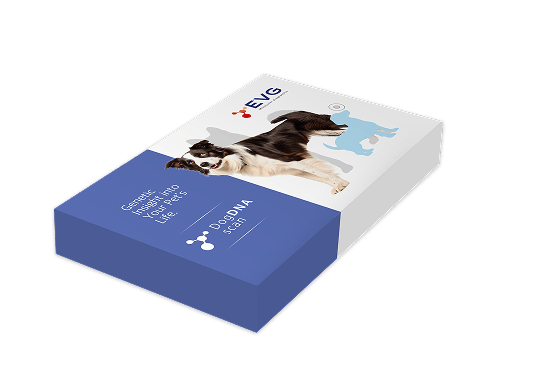 Slika Dog DNA Scan